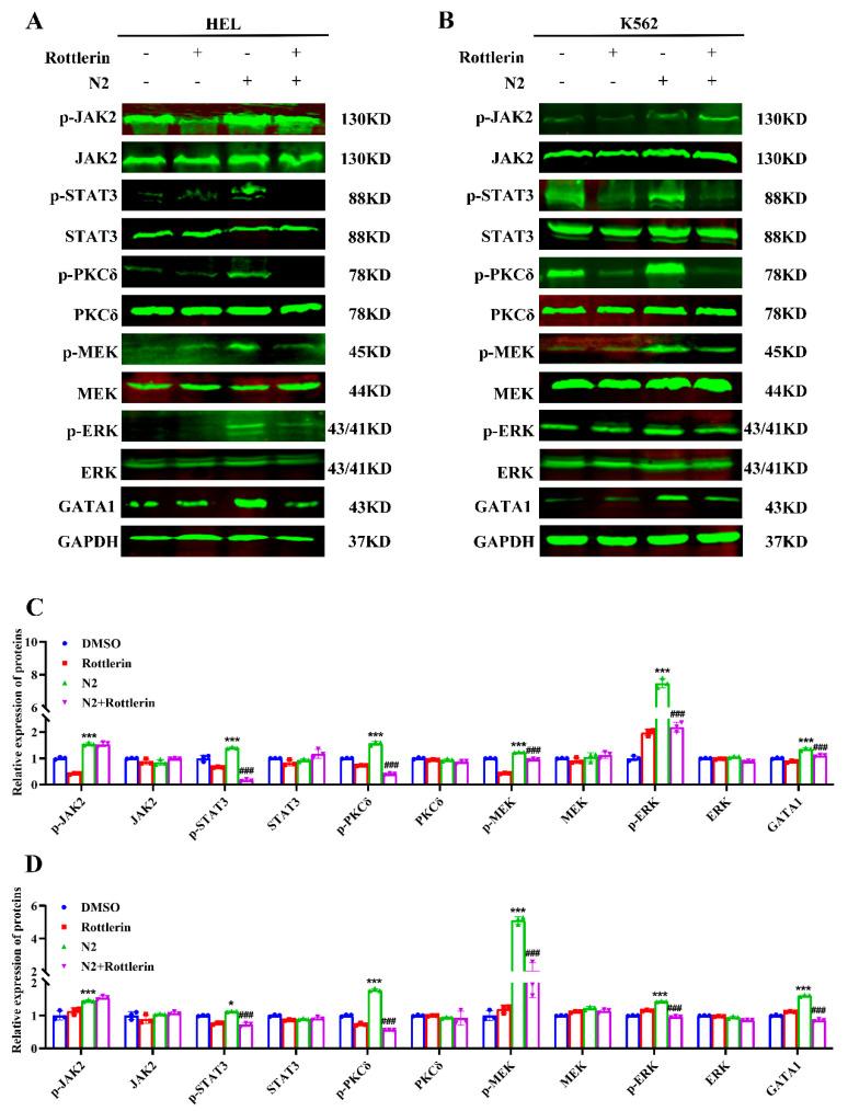 https://cdn.ncbi.nlm.nih.gov/pmc/blobs/1132/11720125/040688a84a49/cells-14-00010-g012.jpg