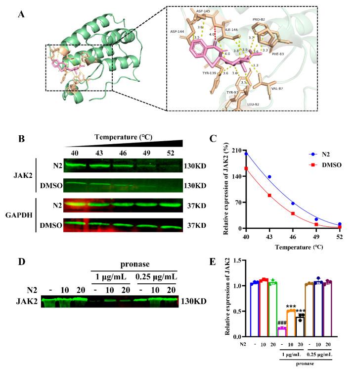 https://cdn.ncbi.nlm.nih.gov/pmc/blobs/1132/11720125/4fd864eb1846/cells-14-00010-g013.jpg
