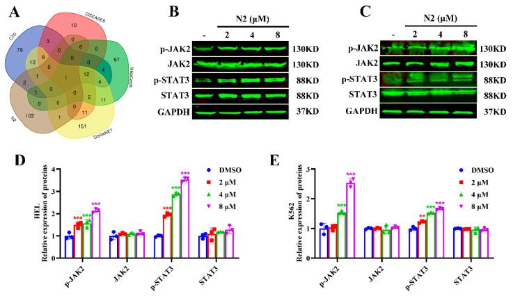 https://cdn.ncbi.nlm.nih.gov/pmc/blobs/1132/11720125/99b93e537e6e/cells-14-00010-g008.jpg