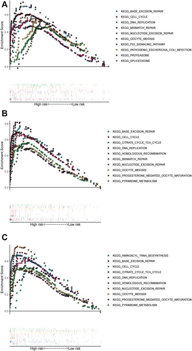 https://cdn.ncbi.nlm.nih.gov/pmc/blobs/1139/10440437/90f7049a8e4f/fphar-14-1203125-g004.jpg