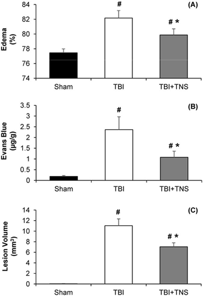 https://cdn.ncbi.nlm.nih.gov/pmc/blobs/113b/5533766/2845059de3ad/41598_2017_7219_Fig8_HTML.jpg