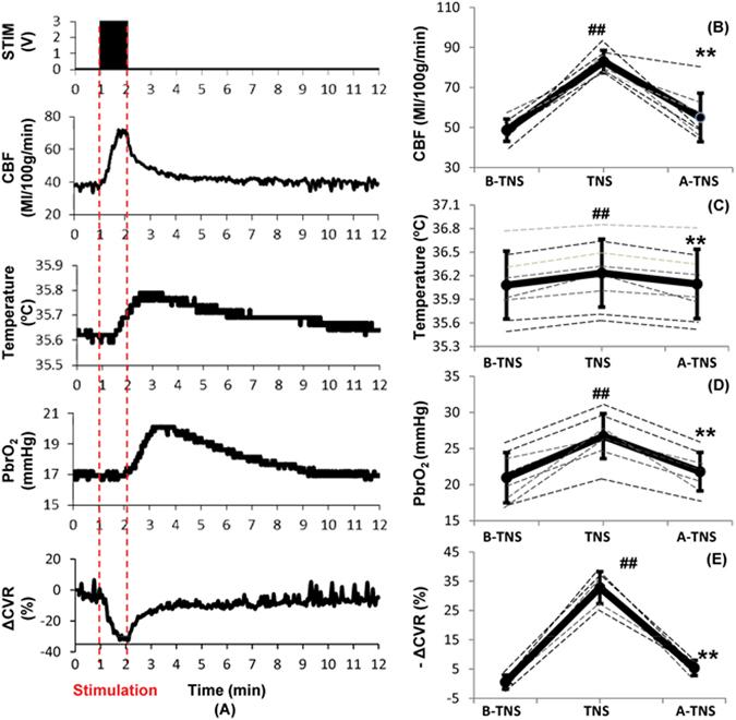 https://cdn.ncbi.nlm.nih.gov/pmc/blobs/113b/5533766/3e319b549ad9/41598_2017_7219_Fig5_HTML.jpg
