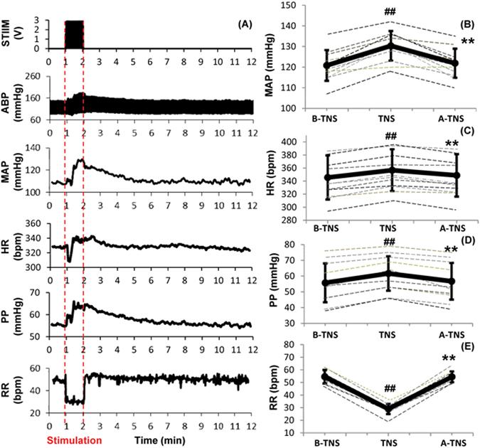 https://cdn.ncbi.nlm.nih.gov/pmc/blobs/113b/5533766/a126fcb85f5f/41598_2017_7219_Fig4_HTML.jpg