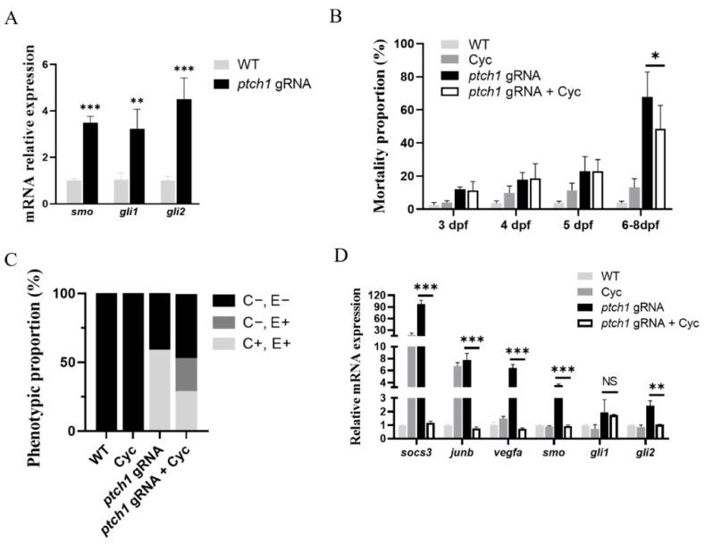 https://cdn.ncbi.nlm.nih.gov/pmc/blobs/113c/10970307/48cae61de233/ijms-25-03321-g007.jpg