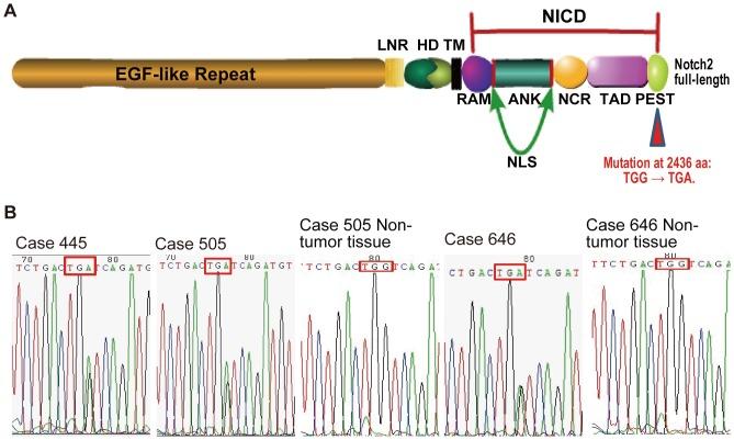 https://cdn.ncbi.nlm.nih.gov/pmc/blobs/113c/4196756/78042b34a388/pone.0108747.g001.jpg