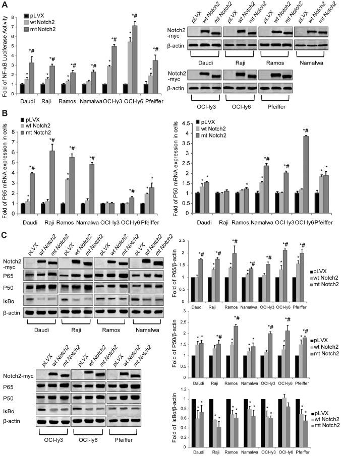 https://cdn.ncbi.nlm.nih.gov/pmc/blobs/113c/4196756/baa7b8f2e1b3/pone.0108747.g005.jpg