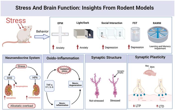 https://cdn.ncbi.nlm.nih.gov/pmc/blobs/113d/9559100/c447d525595c/ga1.jpg