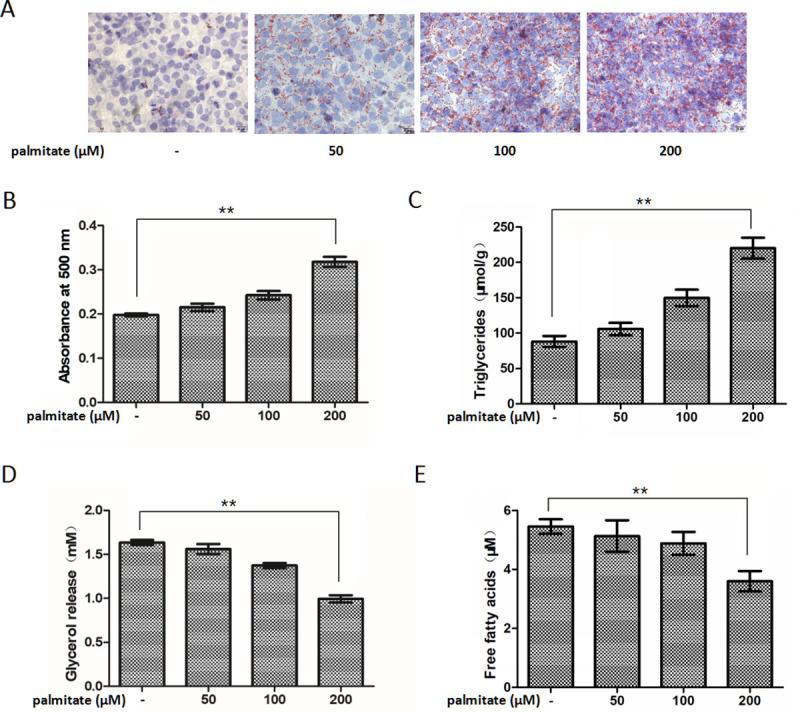 https://cdn.ncbi.nlm.nih.gov/pmc/blobs/113e/7810308/706be571b5e4/pone.0243938.g001.jpg