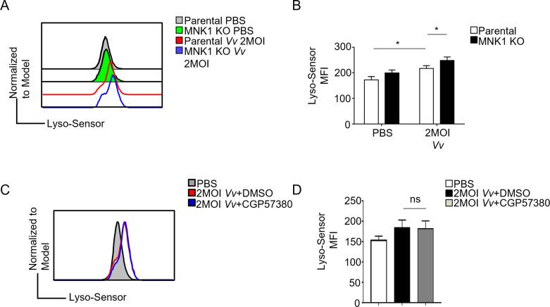 https://cdn.ncbi.nlm.nih.gov/pmc/blobs/113f/11302032/9ed03c307943/spectrum.03340-23.f004.jpg