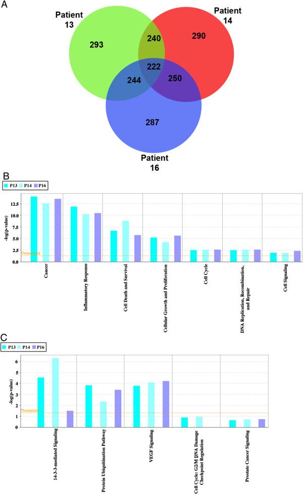 https://cdn.ncbi.nlm.nih.gov/pmc/blobs/1140/3851868/b5f3a7230a12/1476-4598-12-118-6.jpg