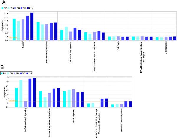 https://cdn.ncbi.nlm.nih.gov/pmc/blobs/1140/3851868/f3edd909d297/1476-4598-12-118-7.jpg