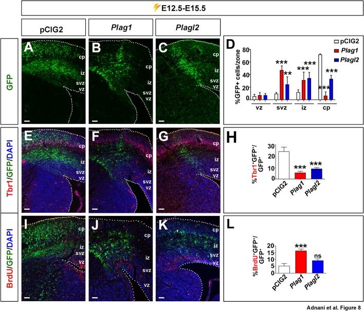 https://cdn.ncbi.nlm.nih.gov/pmc/blobs/1140/6262857/34af61a3c44d/biolopen-7-038661-g8.jpg