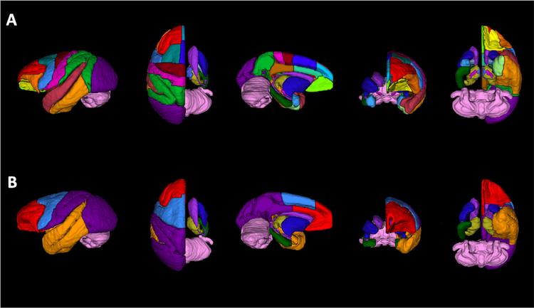 https://cdn.ncbi.nlm.nih.gov/pmc/blobs/1141/7833476/af331a66c989/nihms-1659147-f0001.jpg