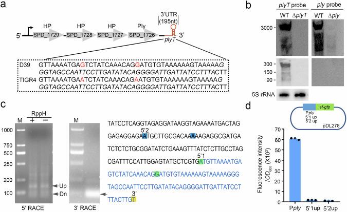 https://cdn.ncbi.nlm.nih.gov/pmc/blobs/1145/11399405/2d866f66b868/42003_2024_6845_Fig1_HTML.jpg