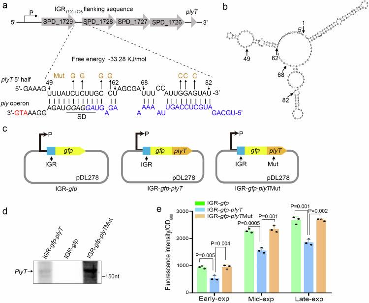 https://cdn.ncbi.nlm.nih.gov/pmc/blobs/1145/11399405/b30bcce093e5/42003_2024_6845_Fig3_HTML.jpg