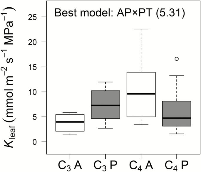 https://cdn.ncbi.nlm.nih.gov/pmc/blobs/1149/6411383/85fa5336b38b/ery46202.jpg