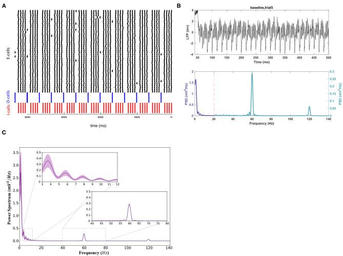 https://cdn.ncbi.nlm.nih.gov/pmc/blobs/114b/8049632/2fb06d47a83e/fncom-15-630271-g0002.jpg