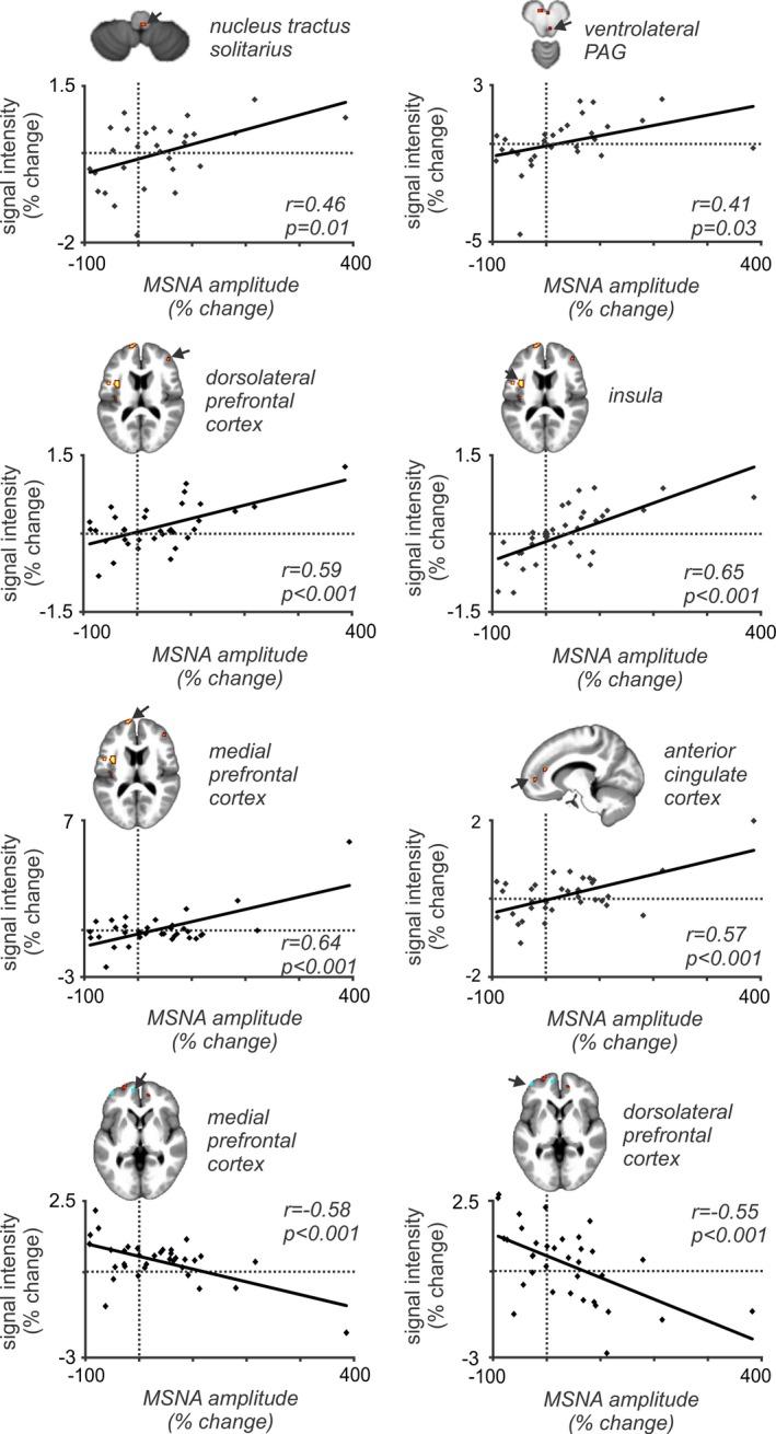 https://cdn.ncbi.nlm.nih.gov/pmc/blobs/114e/5840447/b882339c3fd4/BRB3-8-e00888-g005.jpg