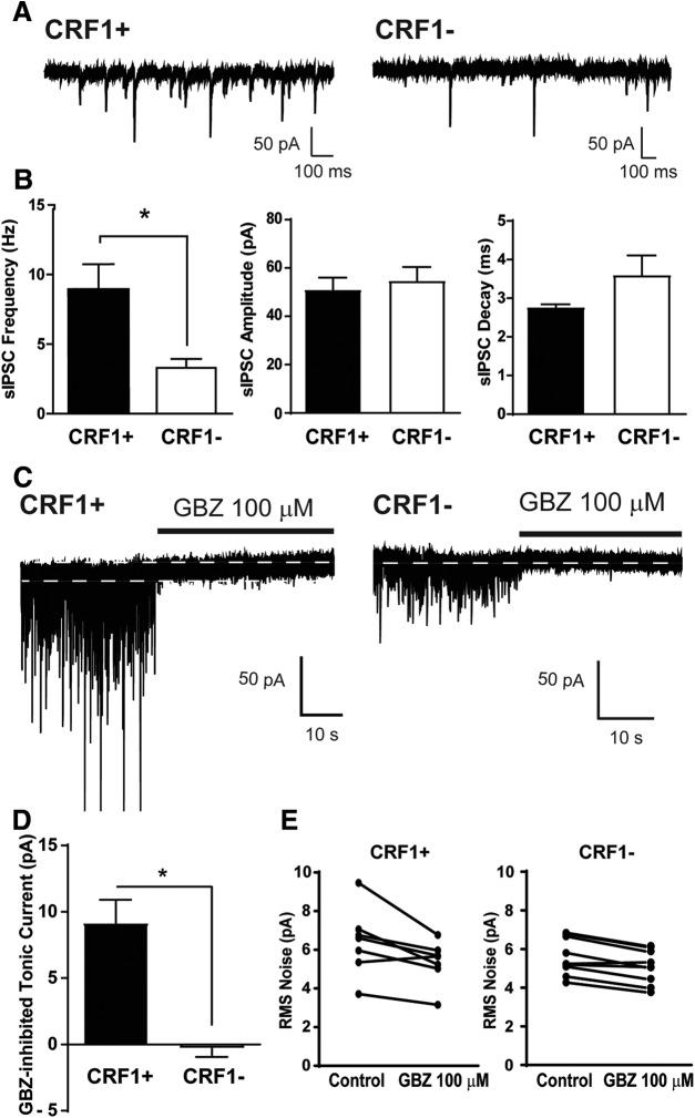 https://cdn.ncbi.nlm.nih.gov/pmc/blobs/114e/7059189/1703e8d9e212/SN-ENUJ200026F004.jpg