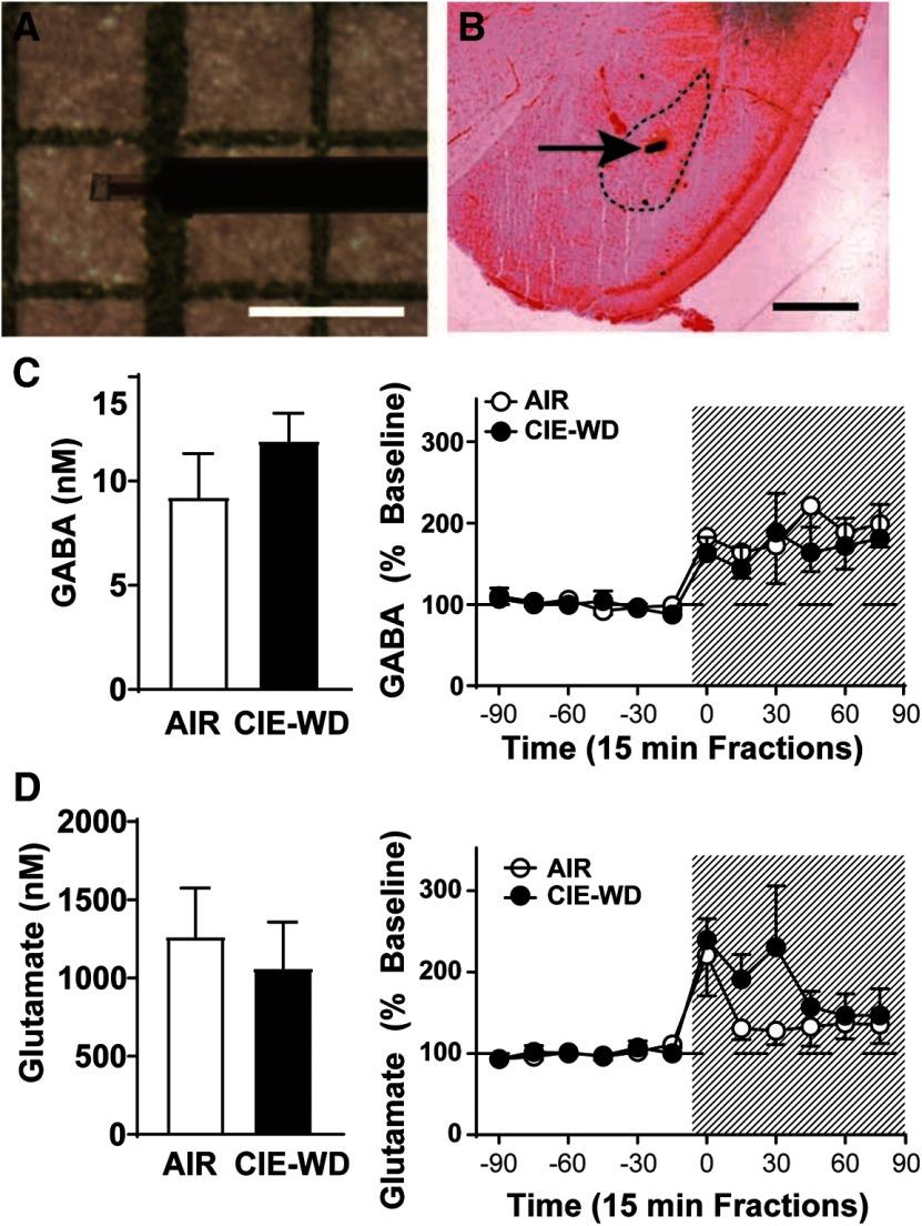 https://cdn.ncbi.nlm.nih.gov/pmc/blobs/114e/7059189/7c8b5cc2e863/SN-ENUJ200026F010.jpg