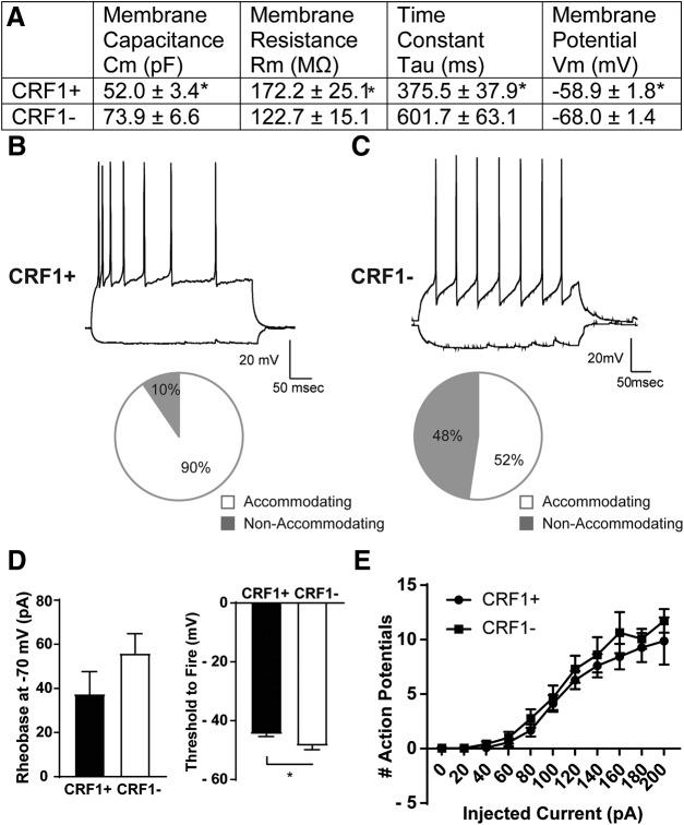 https://cdn.ncbi.nlm.nih.gov/pmc/blobs/114e/7059189/c8469d807f53/SN-ENUJ200026F003.jpg