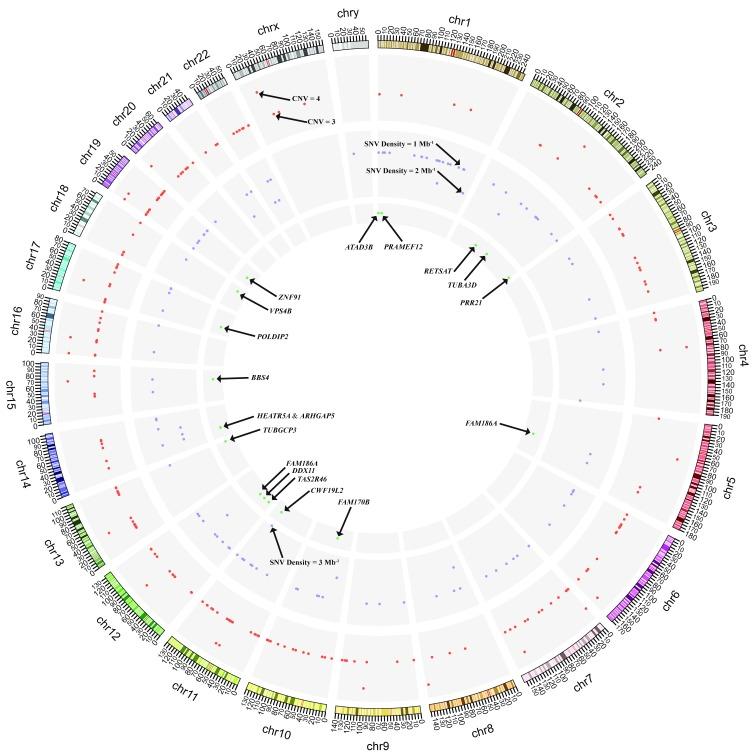 https://cdn.ncbi.nlm.nih.gov/pmc/blobs/114f/5954348/4919919286be/f1000research-7-15650-g0003.jpg
