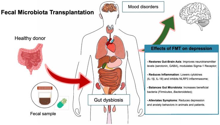 https://cdn.ncbi.nlm.nih.gov/pmc/blobs/1152/12028401/7359101edf31/life-15-00593-g002.jpg