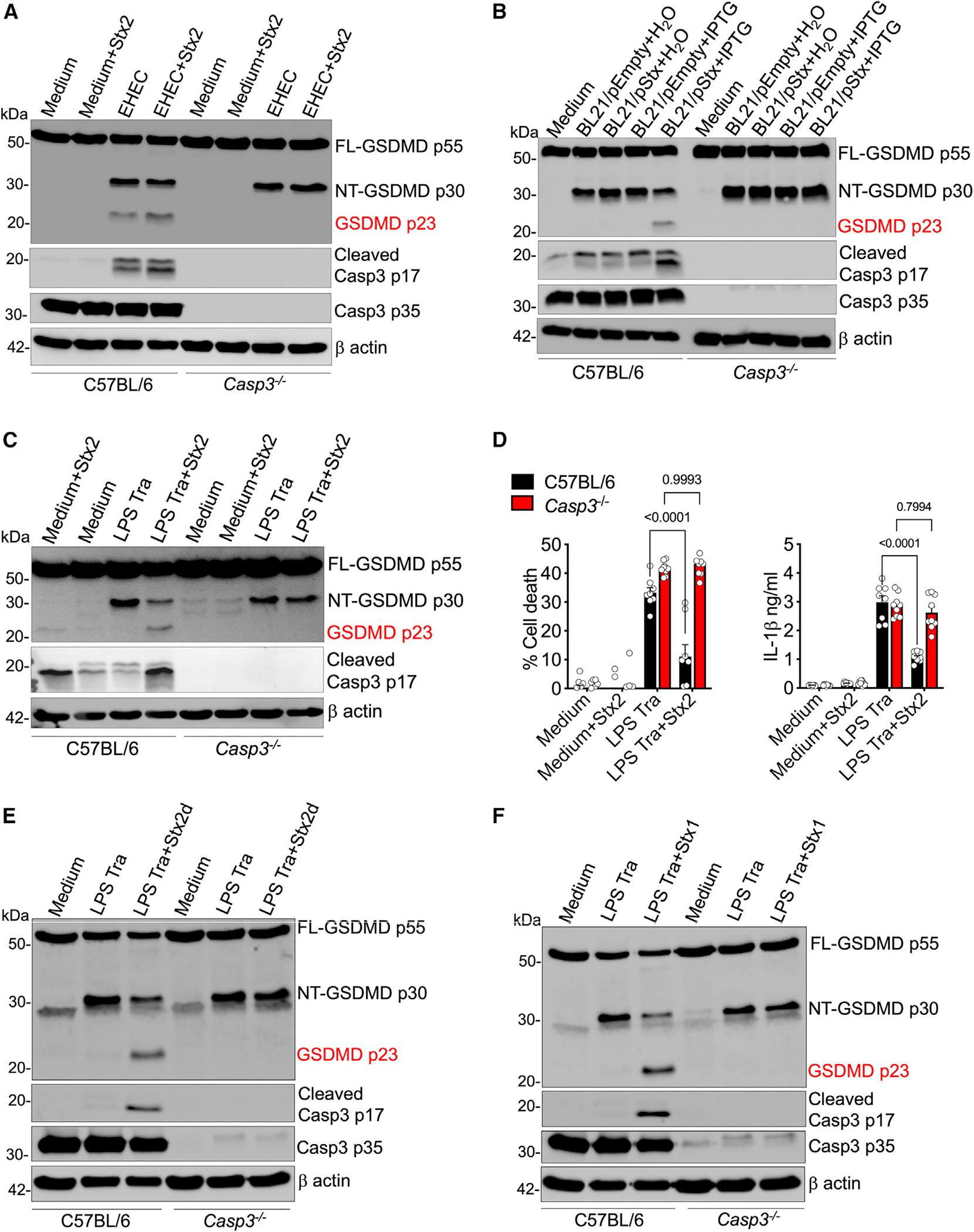 https://cdn.ncbi.nlm.nih.gov/pmc/blobs/1154/11095105/9b50a16f0014/nihms-1988690-f0004.jpg