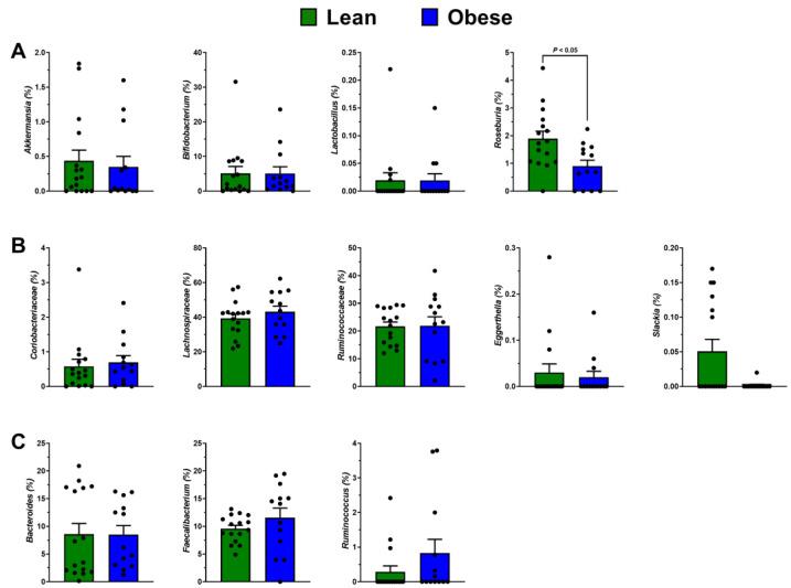 https://cdn.ncbi.nlm.nih.gov/pmc/blobs/1154/9774199/55e6e3e50403/antioxidants-11-02490-g005.jpg
