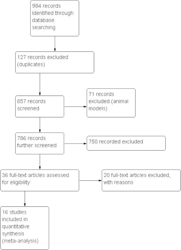 https://cdn.ncbi.nlm.nih.gov/pmc/blobs/1155/3937458/9c7997901188/40064_2013_842_Fig1_HTML.jpg