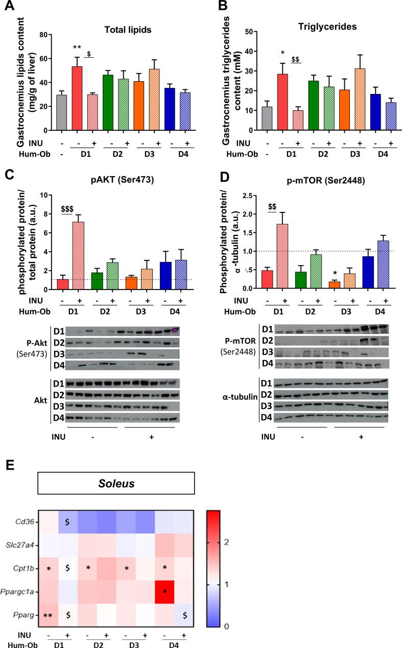 https://cdn.ncbi.nlm.nih.gov/pmc/blobs/1155/7569399/0f5f340c5258/gutjnl-2019-319726f04.jpg