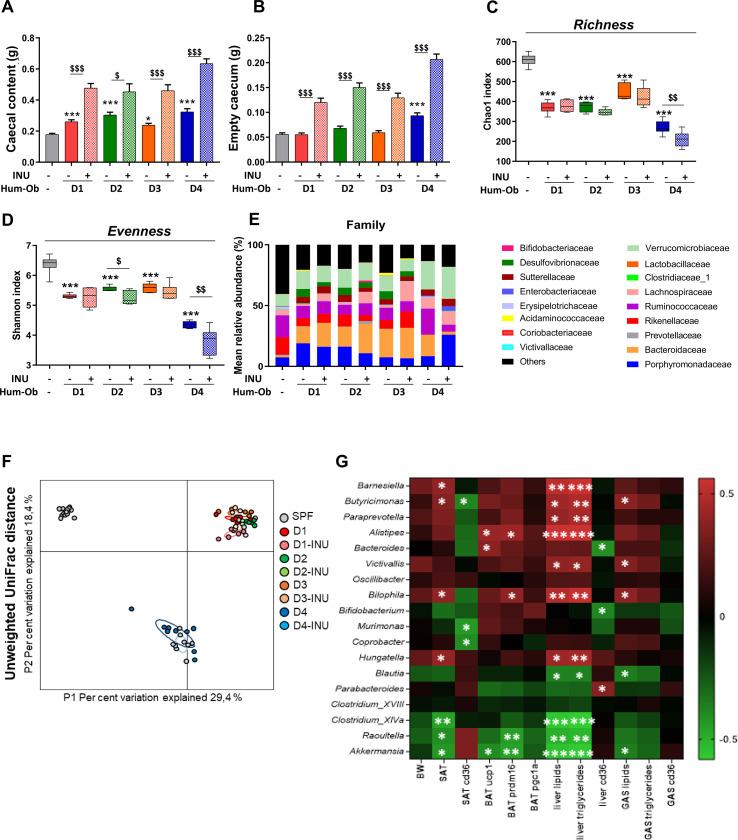 https://cdn.ncbi.nlm.nih.gov/pmc/blobs/1155/7569399/77dd13e46bde/gutjnl-2019-319726f05.jpg