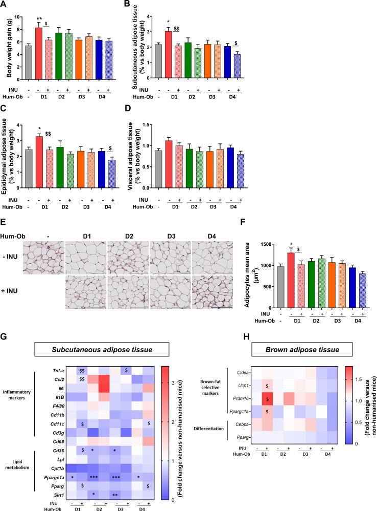 https://cdn.ncbi.nlm.nih.gov/pmc/blobs/1155/7569399/97edace32ff5/gutjnl-2019-319726f02.jpg