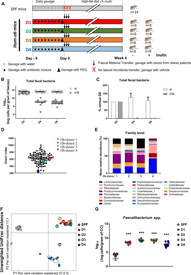 https://cdn.ncbi.nlm.nih.gov/pmc/blobs/1155/7569399/adf2a4ba8565/gutjnl-2019-319726f01.jpg