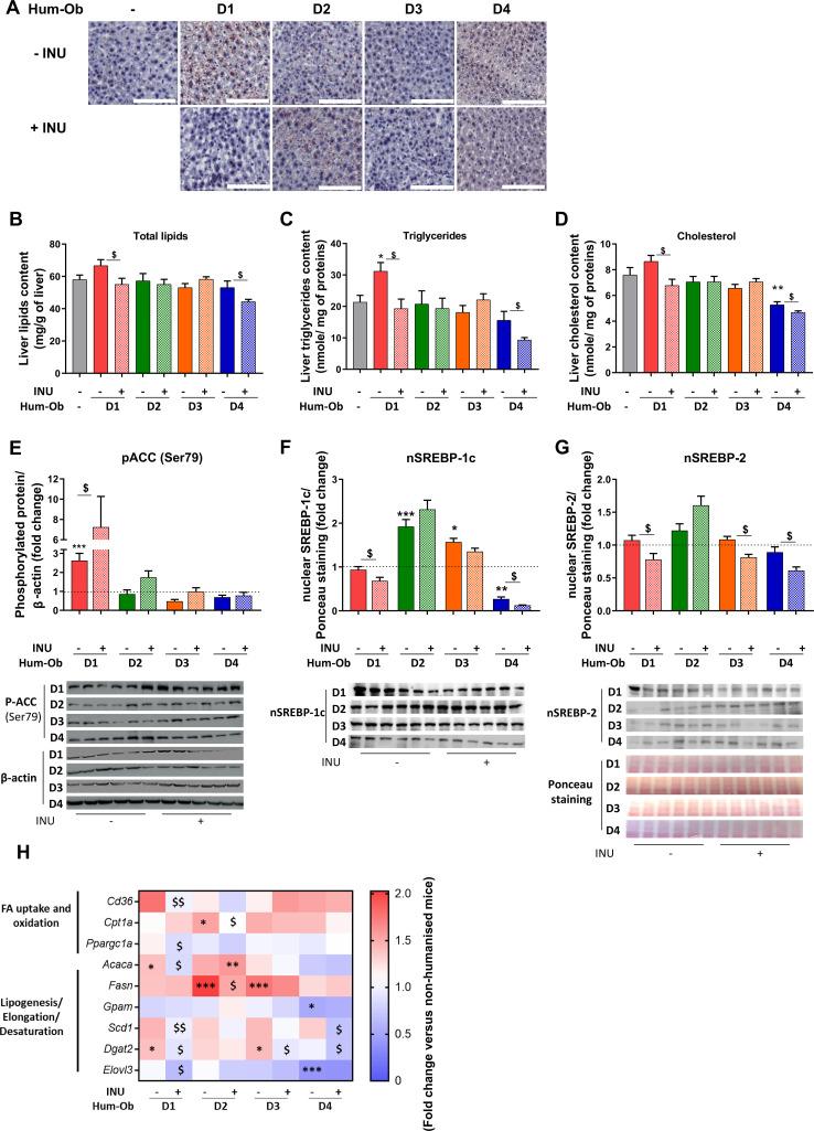 https://cdn.ncbi.nlm.nih.gov/pmc/blobs/1155/7569399/e555da3891b6/gutjnl-2019-319726f03.jpg