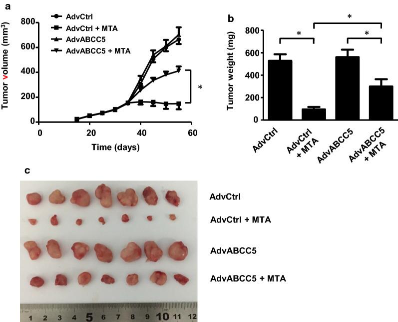 https://cdn.ncbi.nlm.nih.gov/pmc/blobs/1158/7908708/5750925e5d2e/12935_2021_1842_Fig6_HTML.jpg