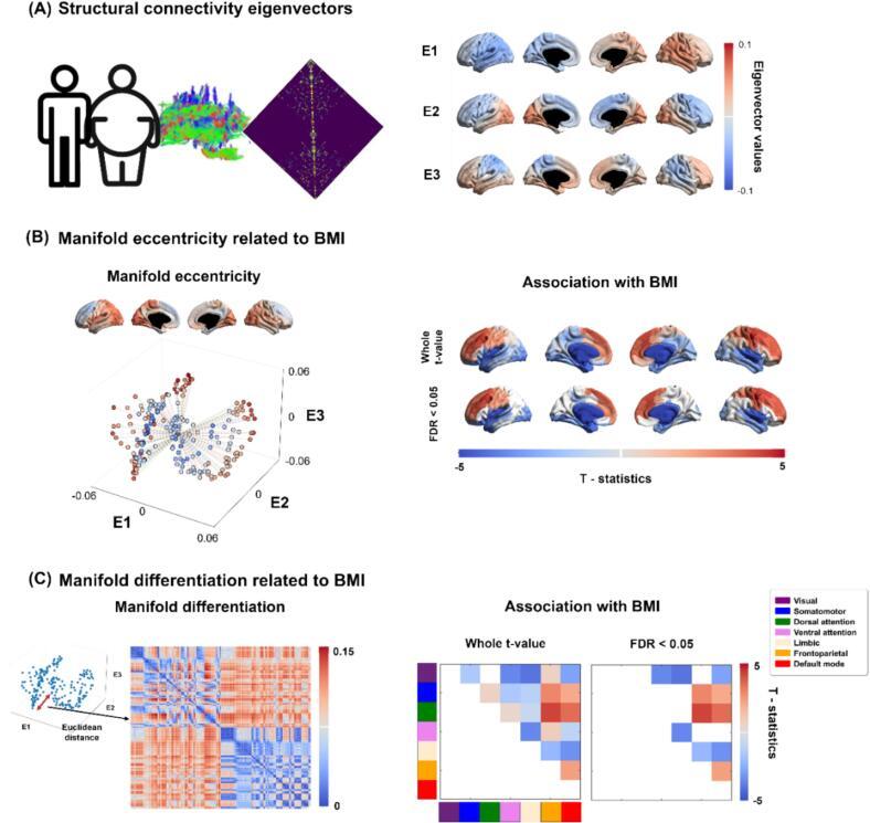 https://cdn.ncbi.nlm.nih.gov/pmc/blobs/115b/12174600/8cff74369098/gr1.jpg