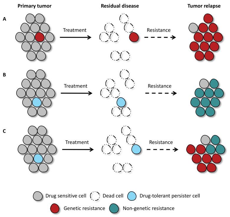 https://cdn.ncbi.nlm.nih.gov/pmc/blobs/115b/7961328/57f42e5c2b14/cancers-13-01118-g001.jpg