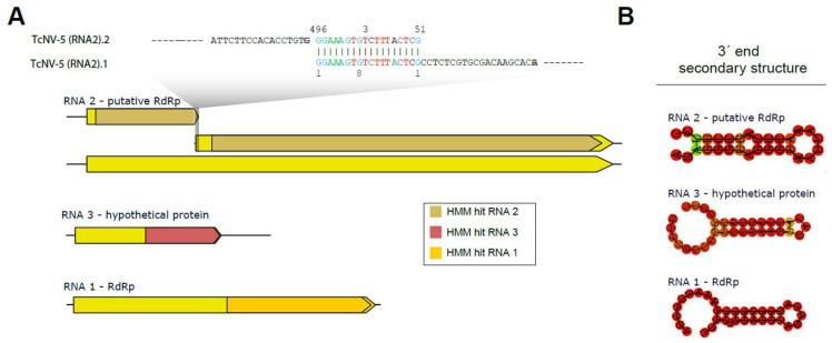 https://cdn.ncbi.nlm.nih.gov/pmc/blobs/115c/11359646/f465203a15c4/viruses-16-01226-g004.jpg