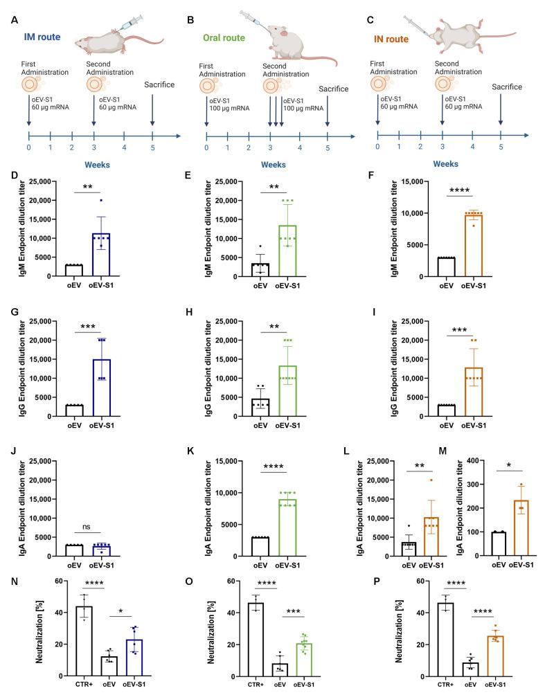 https://cdn.ncbi.nlm.nih.gov/pmc/blobs/115d/10058531/1f2132c0a0e8/pharmaceutics-15-00974-g005.jpg