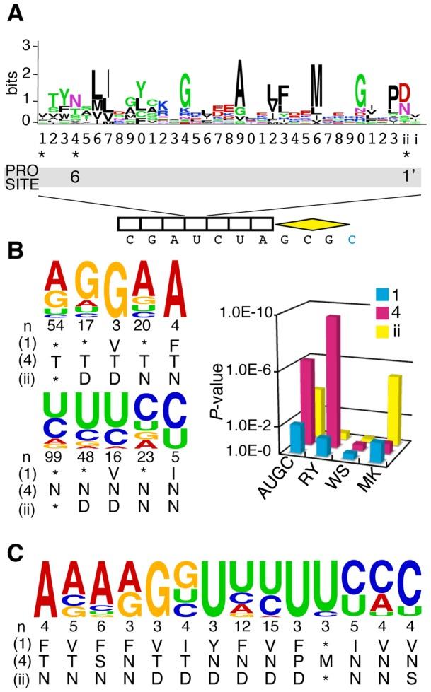 https://cdn.ncbi.nlm.nih.gov/pmc/blobs/115d/3589468/3afc2ba3ba9d/pone.0057286.g002.jpg
