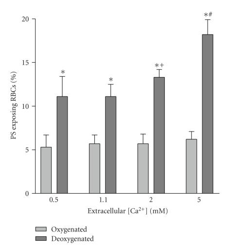 https://cdn.ncbi.nlm.nih.gov/pmc/blobs/115e/3065920/5471aa1edbd0/ANE2011-379894.001.jpg