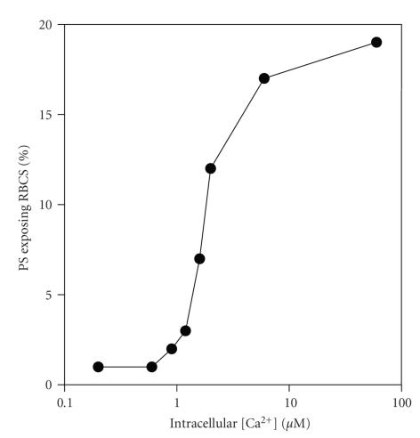 https://cdn.ncbi.nlm.nih.gov/pmc/blobs/115e/3065920/5b231c9be13c/ANE2011-379894.004.jpg