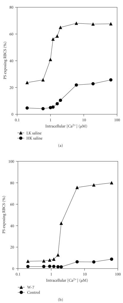 https://cdn.ncbi.nlm.nih.gov/pmc/blobs/115e/3065920/afeee6567c9b/ANE2011-379894.006.jpg