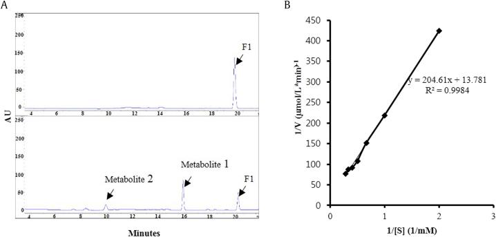 https://cdn.ncbi.nlm.nih.gov/pmc/blobs/115f/5766694/696037768f94/gr3.jpg