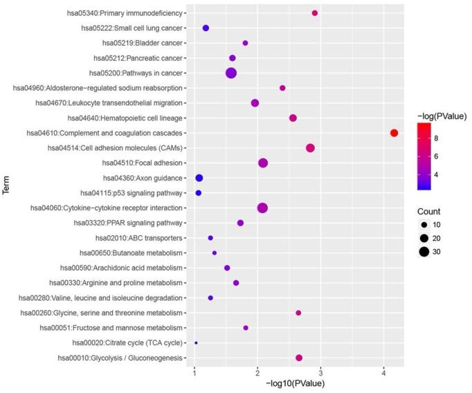 https://cdn.ncbi.nlm.nih.gov/pmc/blobs/115f/5859473/ffa66fea3f75/ijbsv14p0266g004.jpg