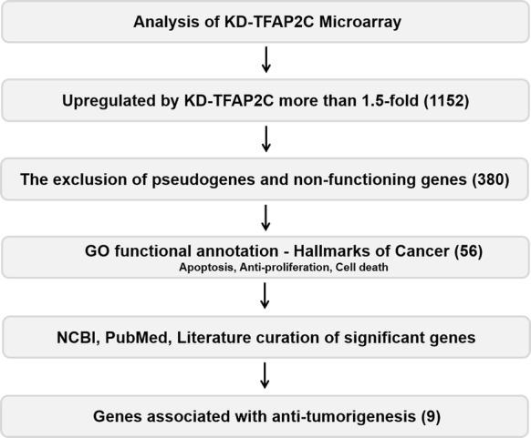 https://cdn.ncbi.nlm.nih.gov/pmc/blobs/1160/6625030/e34375422610/40659_2019_244_Fig1_HTML.jpg