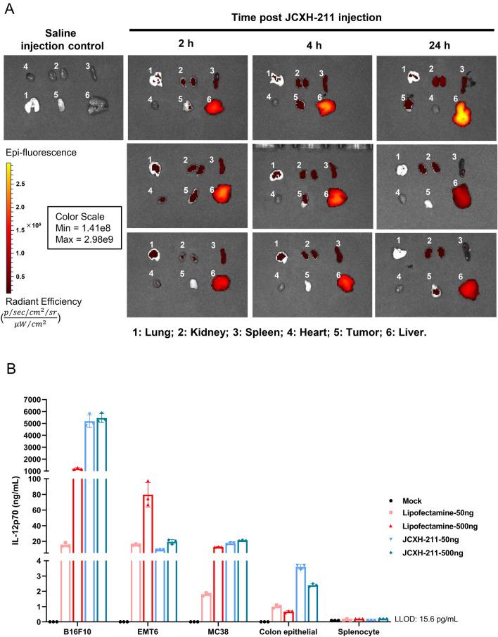 https://cdn.ncbi.nlm.nih.gov/pmc/blobs/1162/10978917/1e35699600a3/41598_2024_57997_Fig4_HTML.jpg