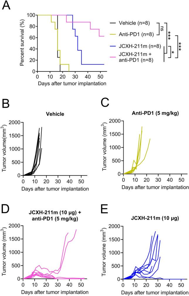 https://cdn.ncbi.nlm.nih.gov/pmc/blobs/1162/10978917/1eb882dba9cf/41598_2024_57997_Fig6_HTML.jpg