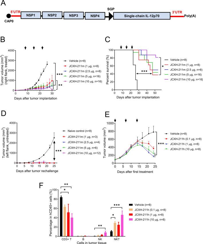 https://cdn.ncbi.nlm.nih.gov/pmc/blobs/1162/10978917/648a8a0e93ba/41598_2024_57997_Fig1_HTML.jpg